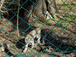 Tiergarten Schönbrunn am 23.03.2023